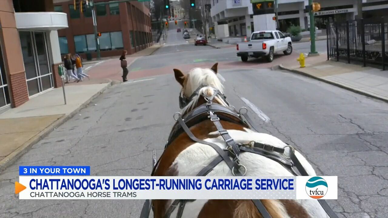 3 IN YOUR TOWN: A ride with Chattanooga Horse Trams, the longest running horse and carriage